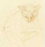 click for larger size